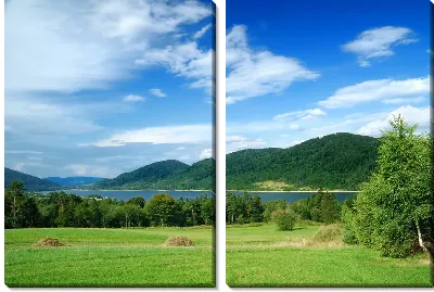 картина