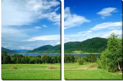 картина
