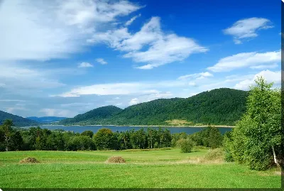 картина