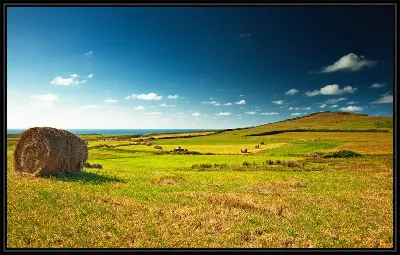 картина