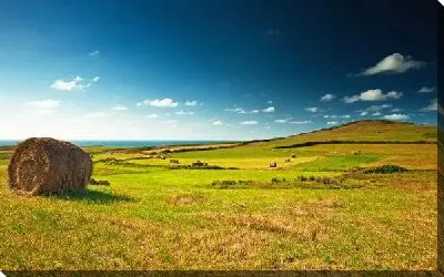 Постер Сенокос в поле