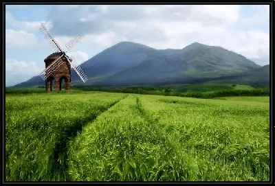 Мельница в поле