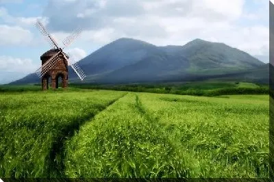 Мельница в поле