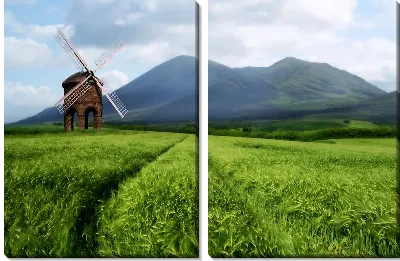 картина