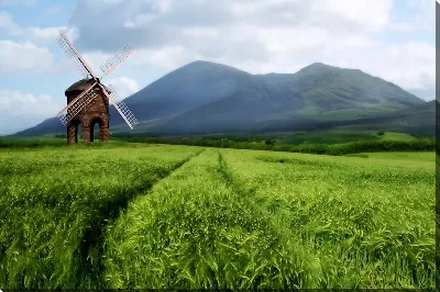 картина