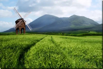 картина