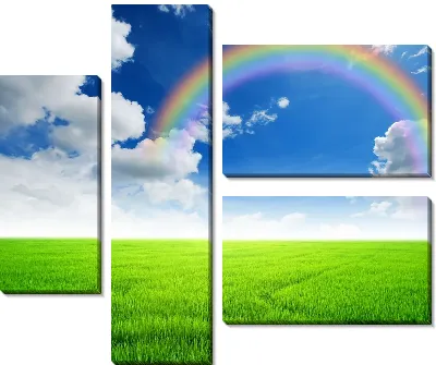 Модульная картина Радуга над полем №2
