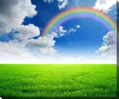 Постер Радуга над полем №2