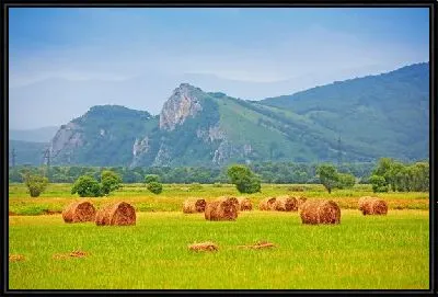 Картина Сенокос в полях