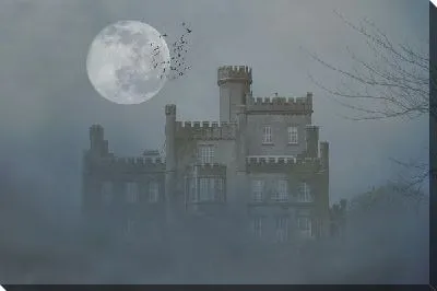 Замок в тумане №2