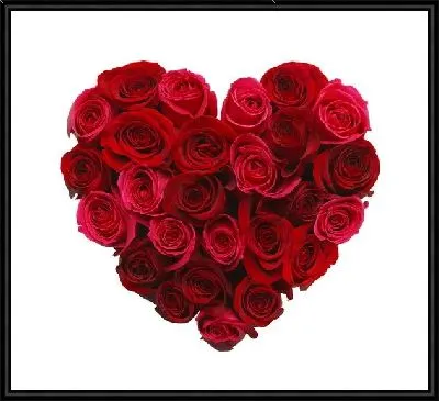 Сердце из роз