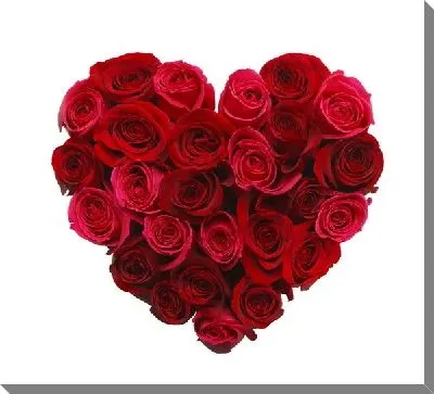 Сердце из роз