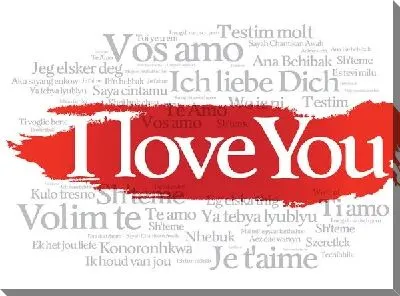 Я люблю тебя на разных языках