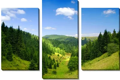 Модульная картина Лес на фоне неба