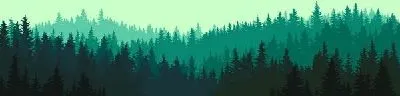 Плакат Лес №24