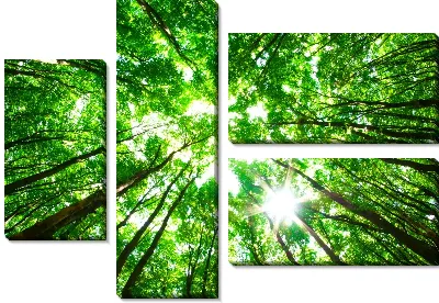 Модульная картина Лес №25