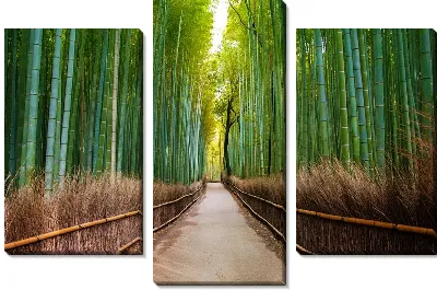 Модульная картина Дорога в бамбуковой роще
