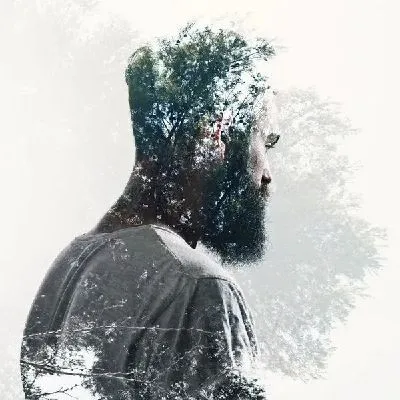 Плакат Лес и человек