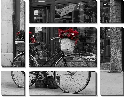 Модульная картина Велосипед у витрины магазина