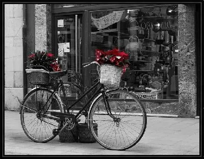 Велосипед у витрины магазина