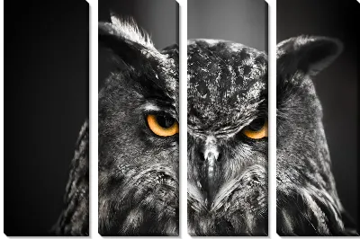 Модульная картина Сова с желтыми глазами