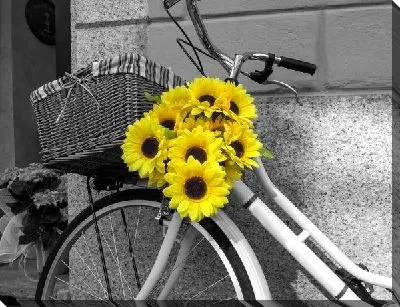 Букет подсолнухов на раме велосипеда
