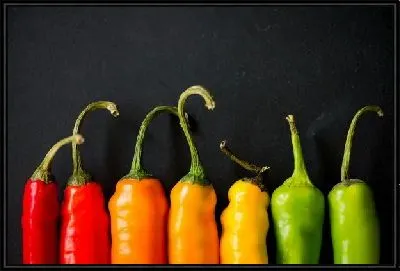 Картина Яркие цветные перцы