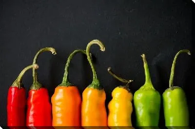 Яркие цветные перцы