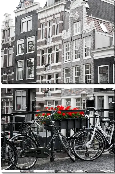 Модульная картина Уличные красные цветы в Амстердаме