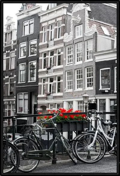 Картина Уличные красные цветы в Амстердаме