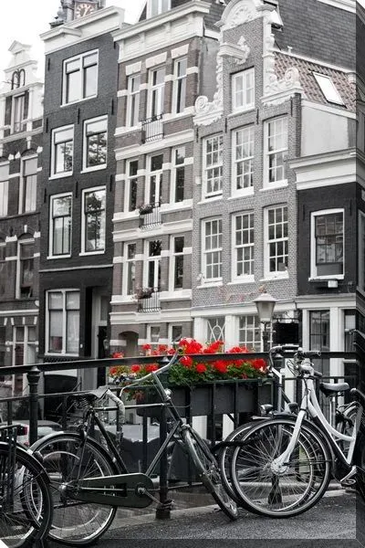 Постер Уличные красные цветы в Амстердаме