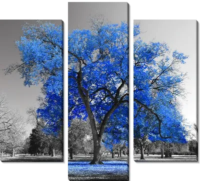 Контрастное синее дерево в парке