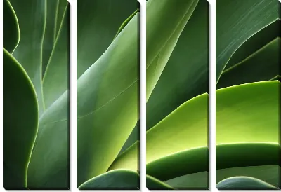 Модульная картина Листья макро