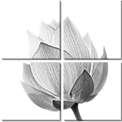 Модульная картина Лотос макро №2
