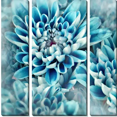 Модульная картина Голубые хризантемы