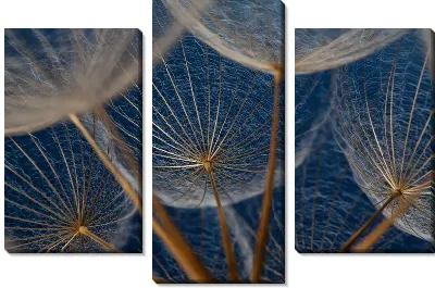 Модульная картина Одуванчики макро