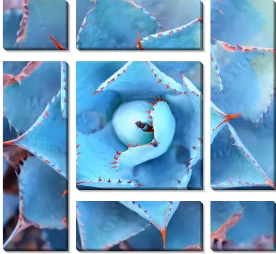 Модульная картина Листья агавы