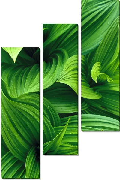 Модульная картина Листья макро №2