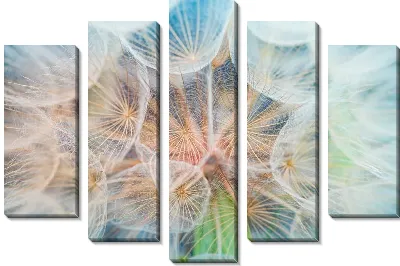 Одуванчики макро №2