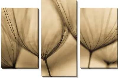 Модульная картина Одуванчики макро №4