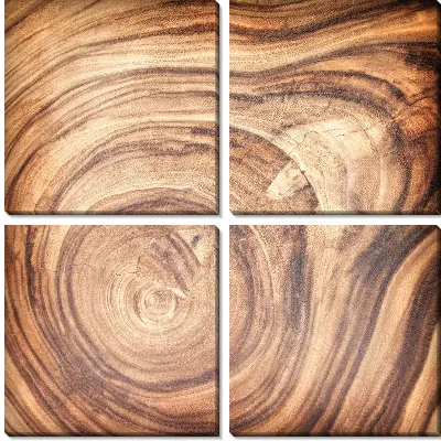 Модульная картина Спил дерева