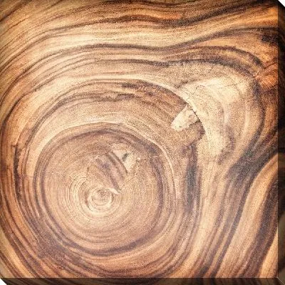 Спил дерева