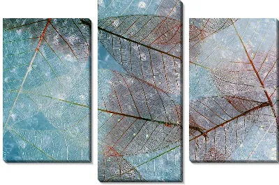 Модульная картина Листья макро №6