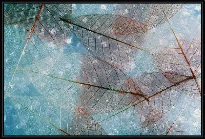 Картина Листья макро №6