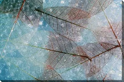 Постер Листья макро №6