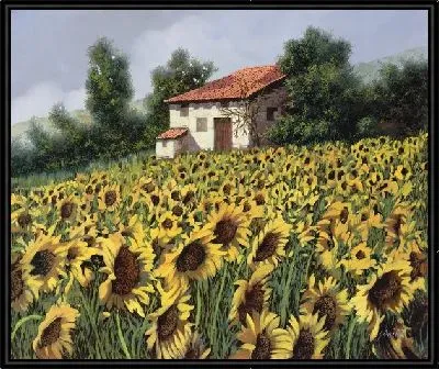 Поле подсолнухов в Италии