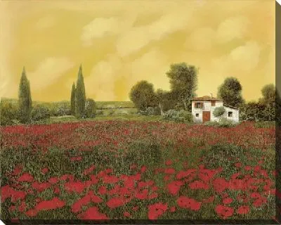 Маковое поле в Тоскане №5