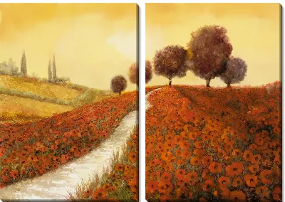 Маковое поле в Тоскане №3