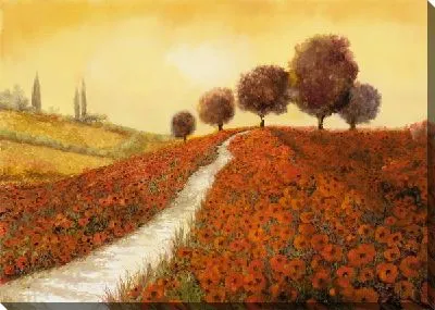 Маковое поле в Тоскане №3