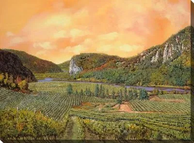 Картина Виноградник в Италии №6